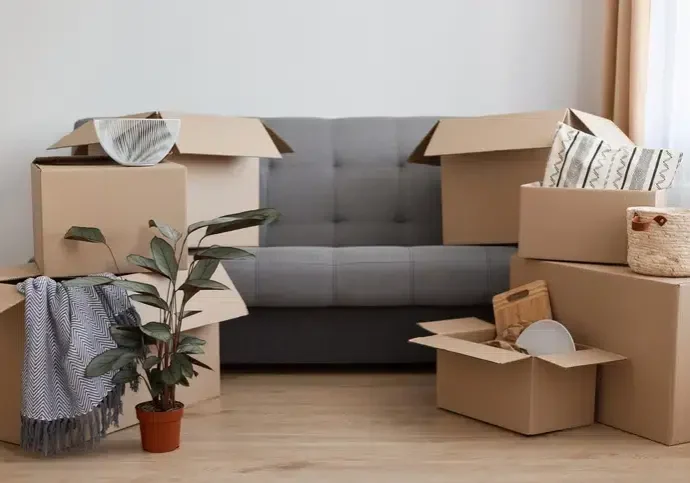 Indoor shot of gray sofa with cardboard boxes with personal piles, flower pot with plant, unpacking belongings while moving.